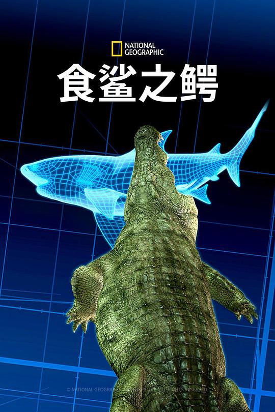 食鲨之鳄